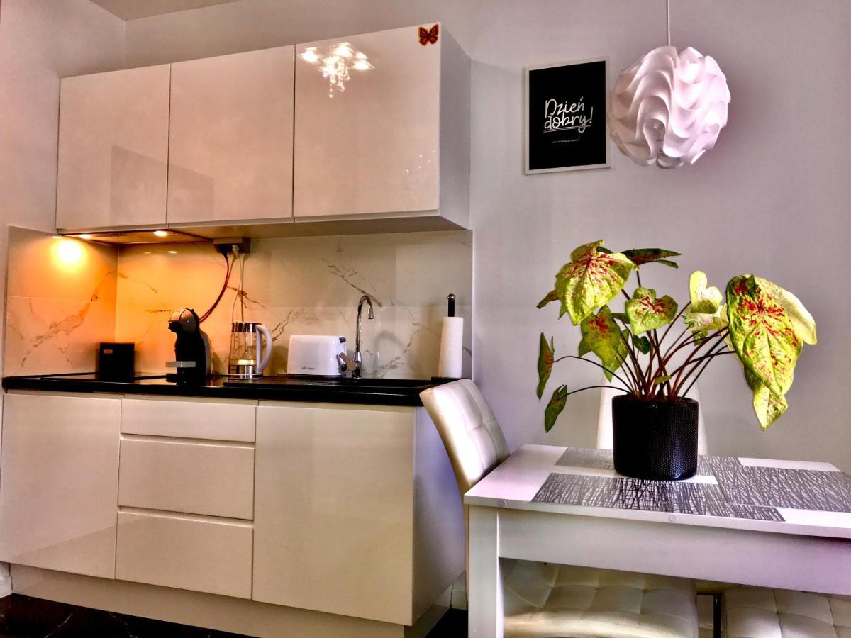 Apartament Blue Crystal Jelenia Gora Dış mekan fotoğraf